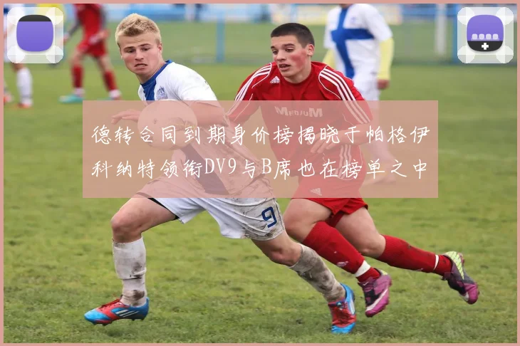 德转合同到期身价榜揭晓于帕格伊科纳特领衔DV9与B席也在榜单之中